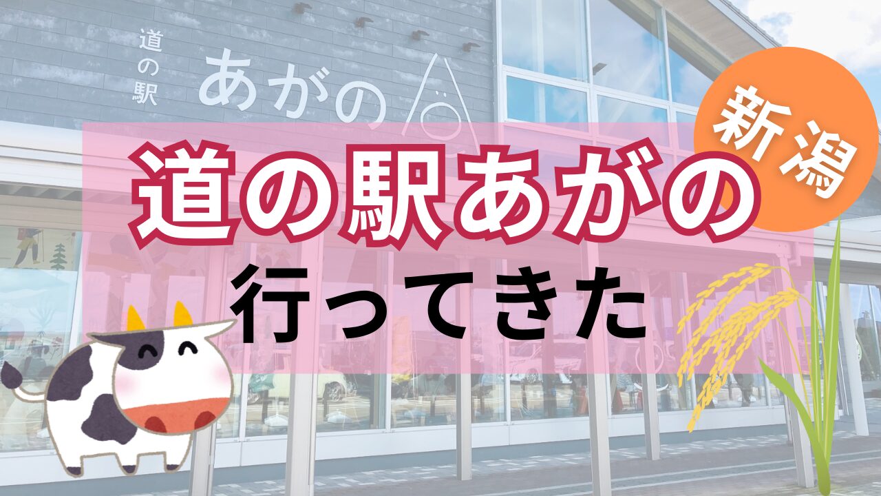 道の駅あがのサムネ